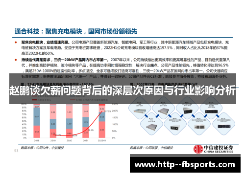 赵鹏谈欠薪问题背后的深层次原因与行业影响分析 赵鹏谈欠薪问题背后的深层次原因与行业影响分析